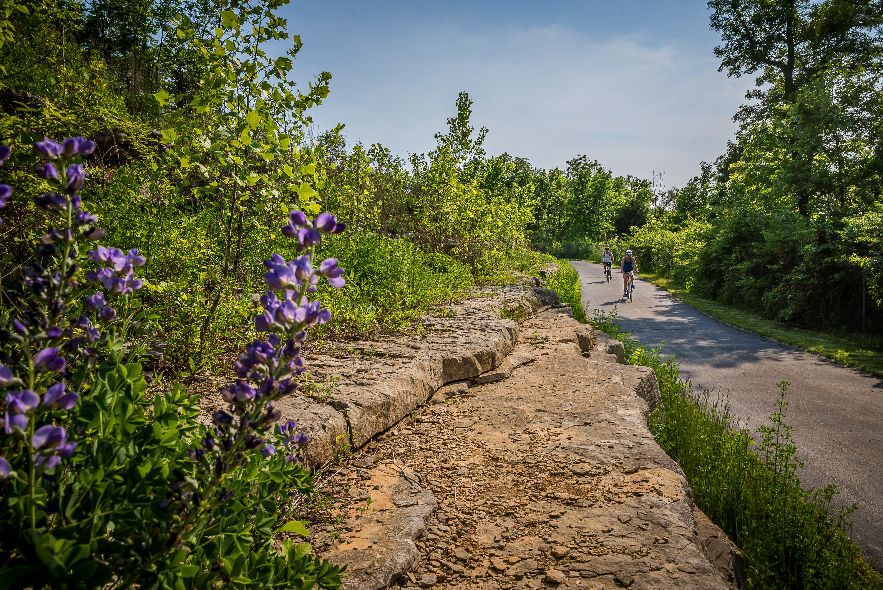 Expanded Gravois Greenway Opens in St. Louis - Terrain Magazine