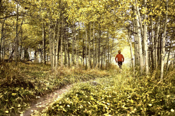 St. Louis trail runner