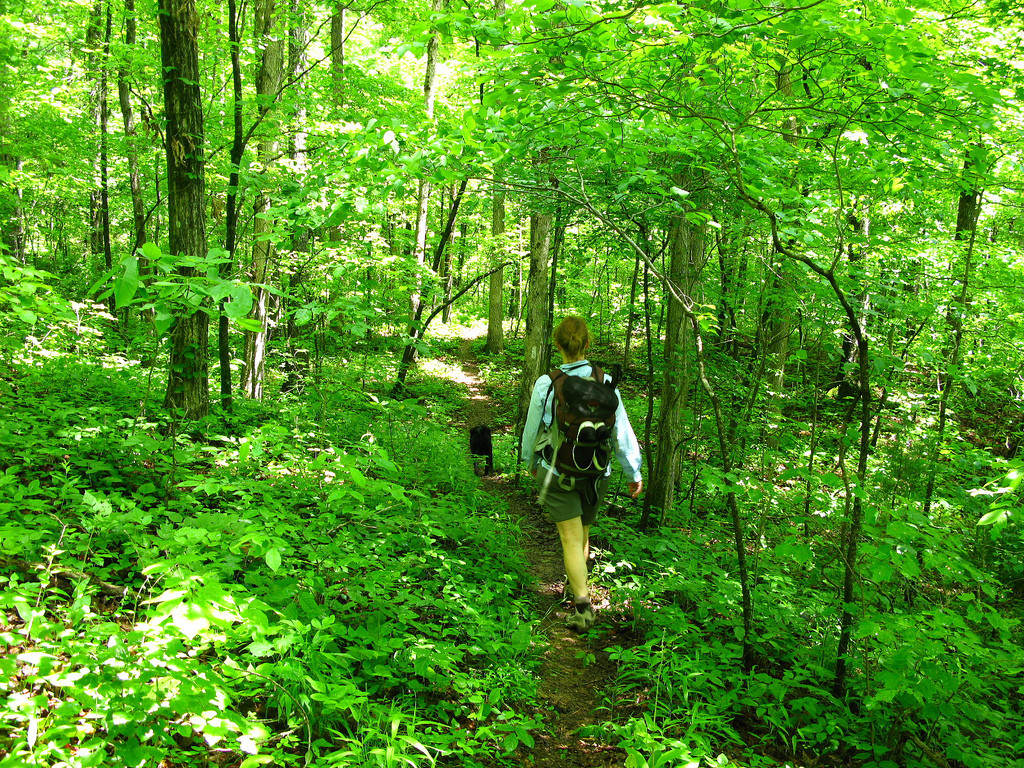 Ozark Trail hiking near St. Louis