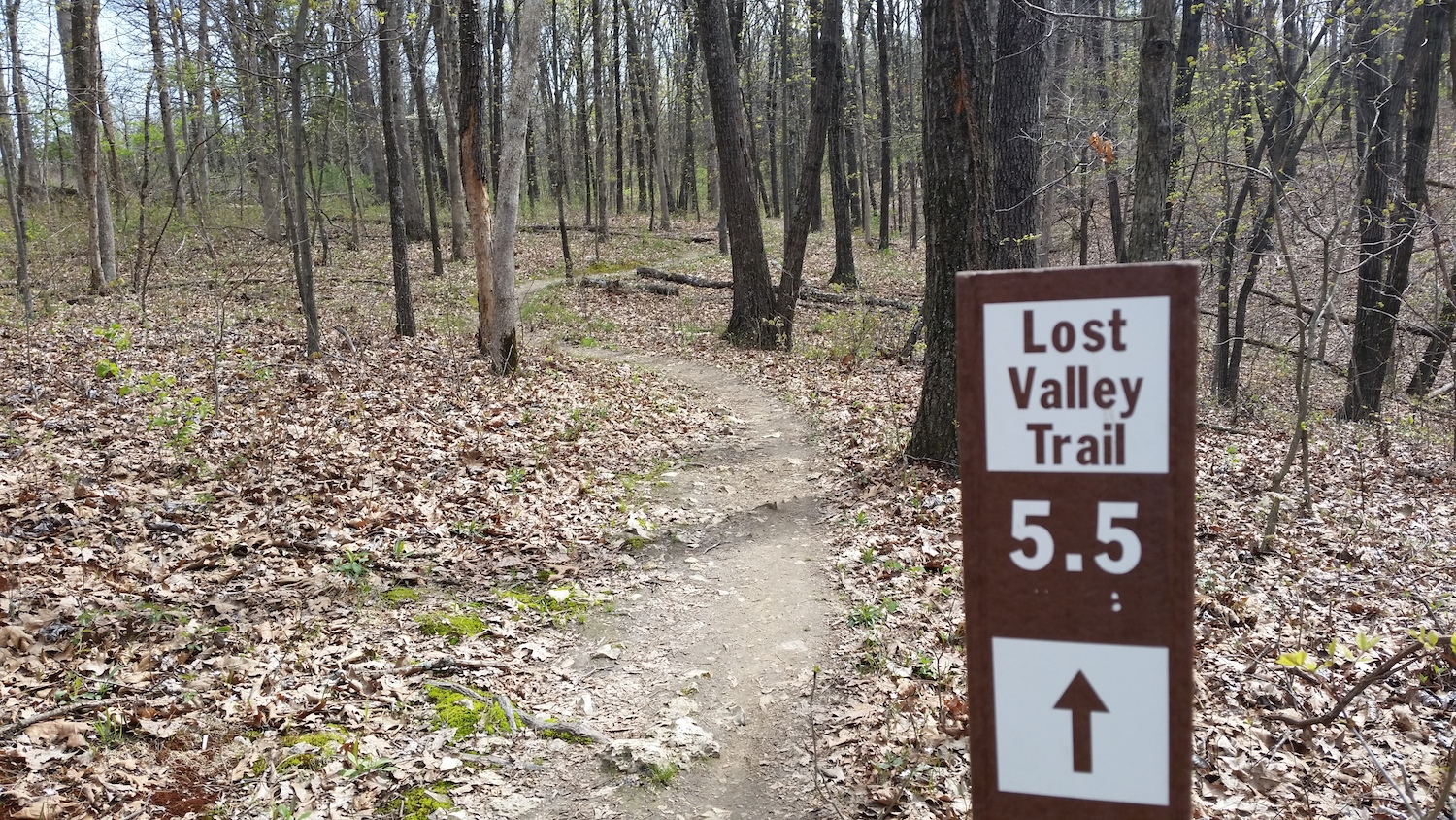 Lost Valley Trail in Weldon Spring