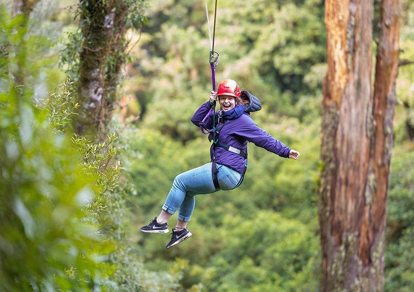Zip-Line Couse