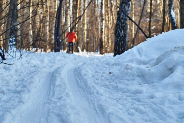 Cross Country Skiing in St. Louis