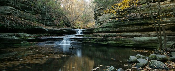 Illinois Parks to Reopen