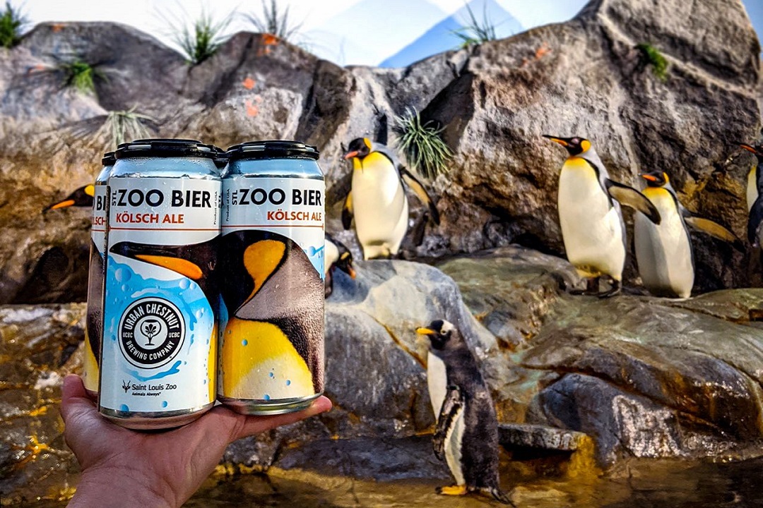 Urban Chestnut STL Zoo Bier-penguins_photo credit Urban Chestnut Brewing Company