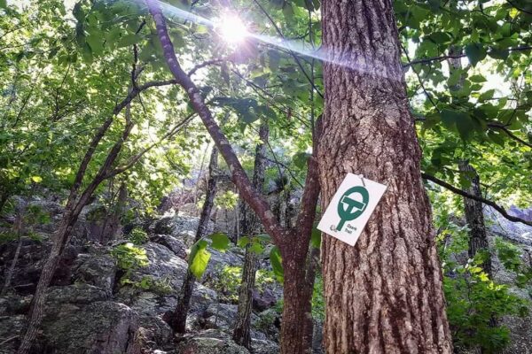 Ozark Trail Hiking