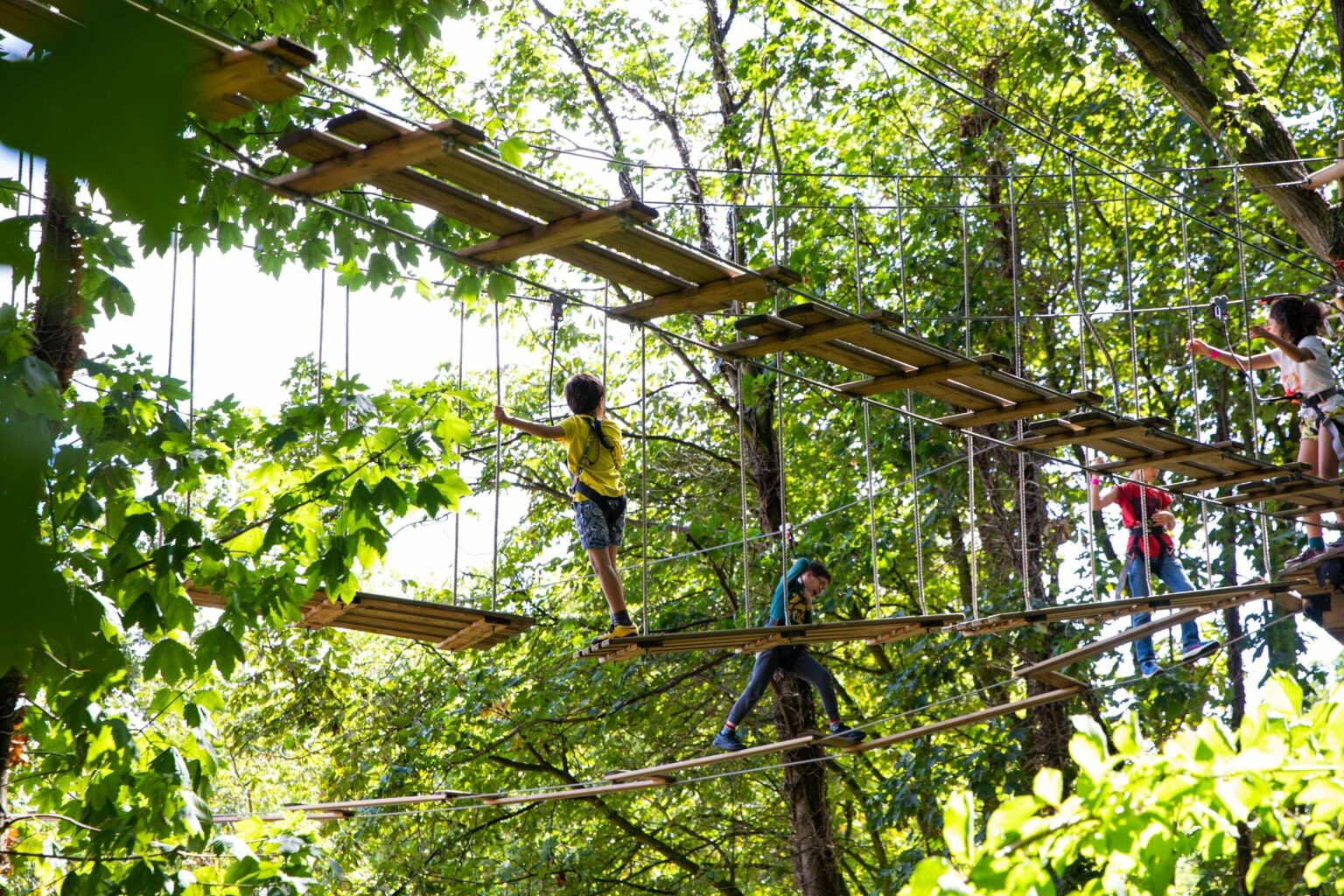 Go Ape Opens Treetop Journey Course for Kids and Novices Terrain Magazine