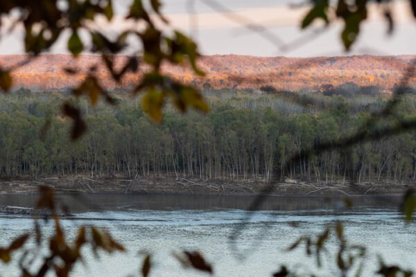 Cape Girardeau Outdoors