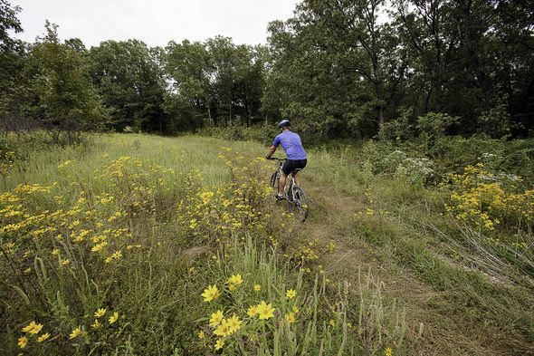 A cyclist rides the trails at Canaan Conservation Area