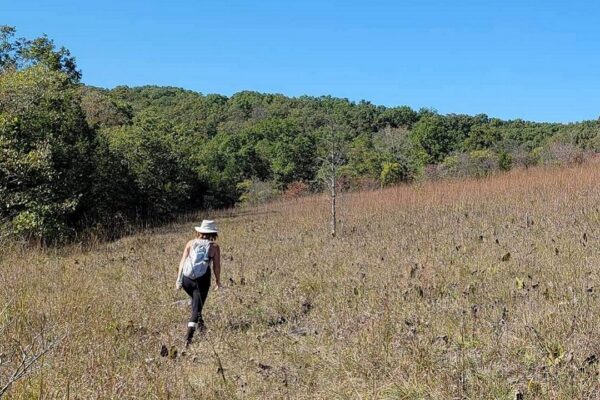 Ozark Habitat