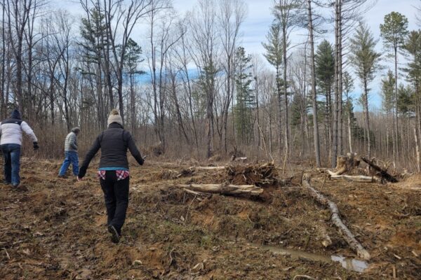 Shawnee National Forest Logging