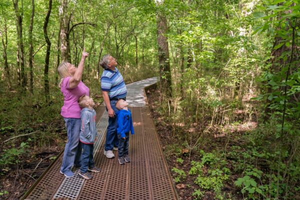 Big Oak Tree State Park