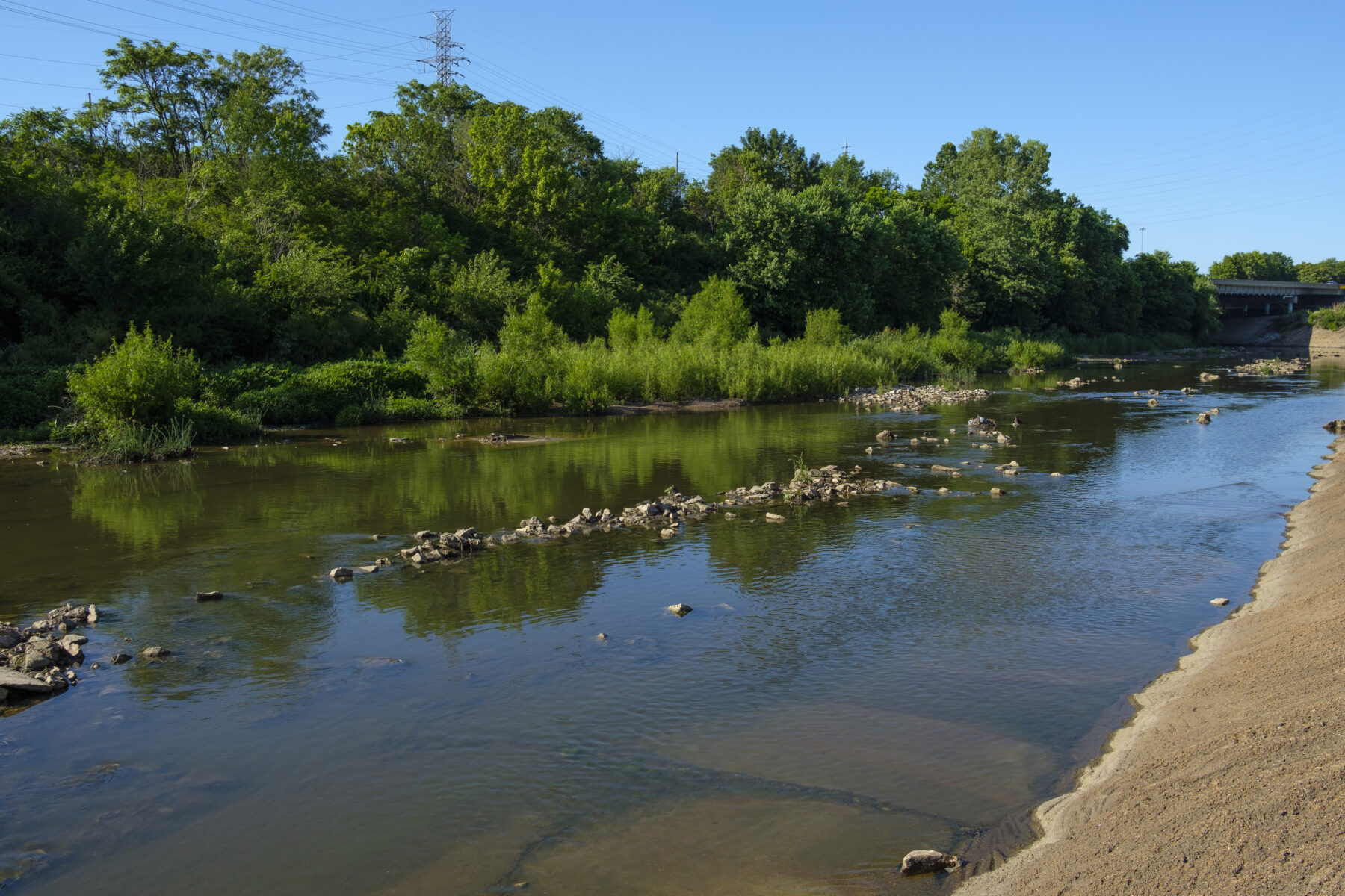 A successful wetland portion along the River des Peres.