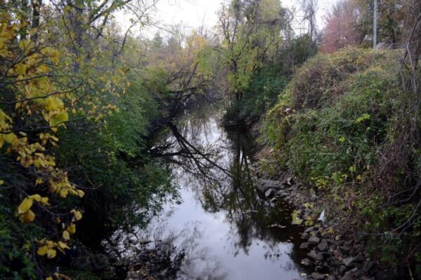 Coldwater Creek in St. Louis
