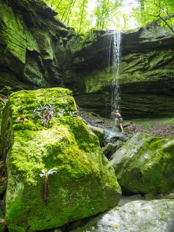 Big Piney River in Missouri Vs Big Piney Creek in Arkansas - Terrain ...