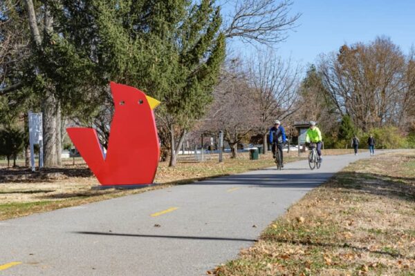 MCT Trail Critters