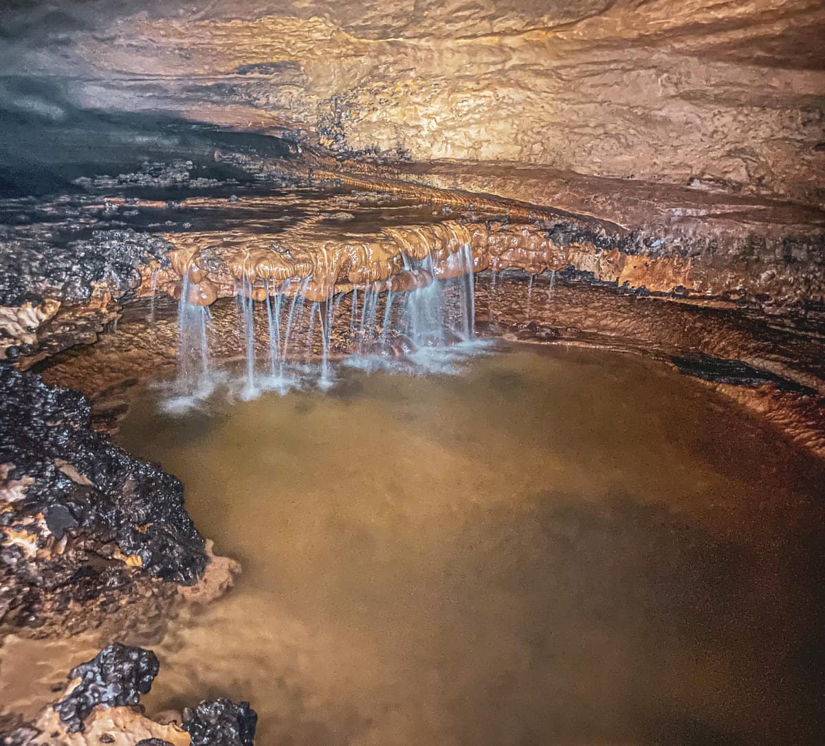 Hiking Underground: Illinois Caverns State Natural Area - Terrain Magazine